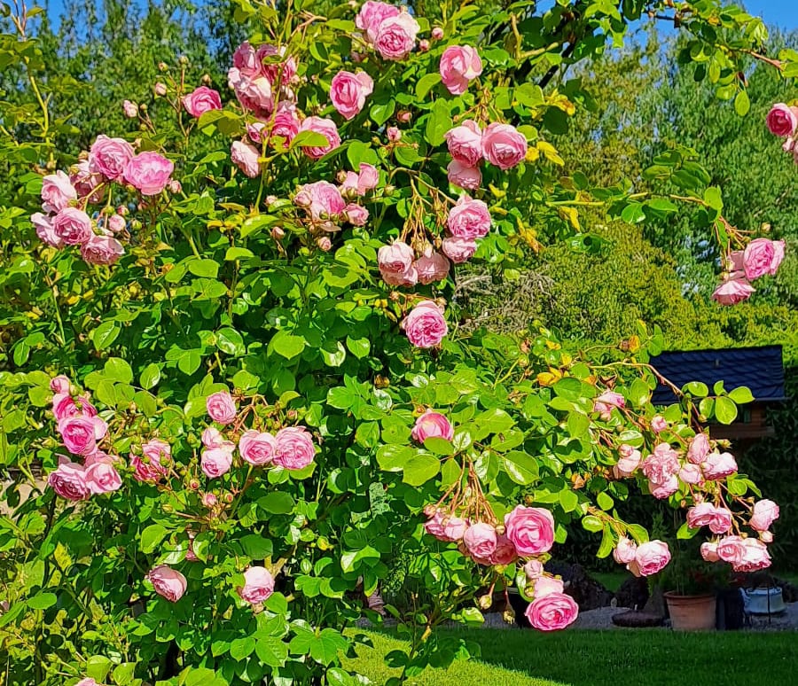 Ferienwohnung Slupek - Walsdorf-Zilsdorf